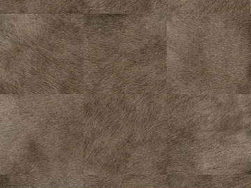 Animal Blanket texture (ID:ffajg14479)