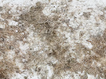 Snow texture (ID:ffaef8255)