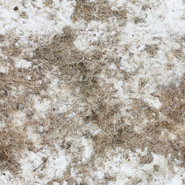 Snow texture
