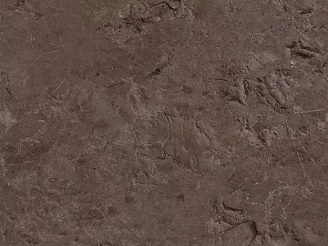 Sand texture (ID:ffaag98257)