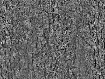 Black and White Bump texture (ID:ffaeg32792)