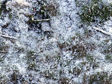 Snow and snow texture (ID:ffach332836)