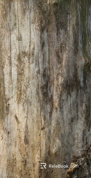 bark texture