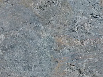Cement floor texture (ID:ffabg79173)