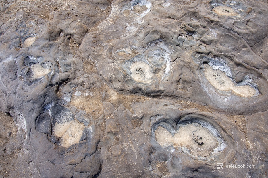 Stone texture