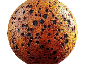 Biological Fur PBR 3d model