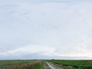 Wild Scenery 3d model