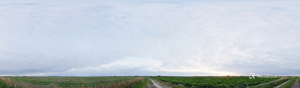 Wild Scenery texture