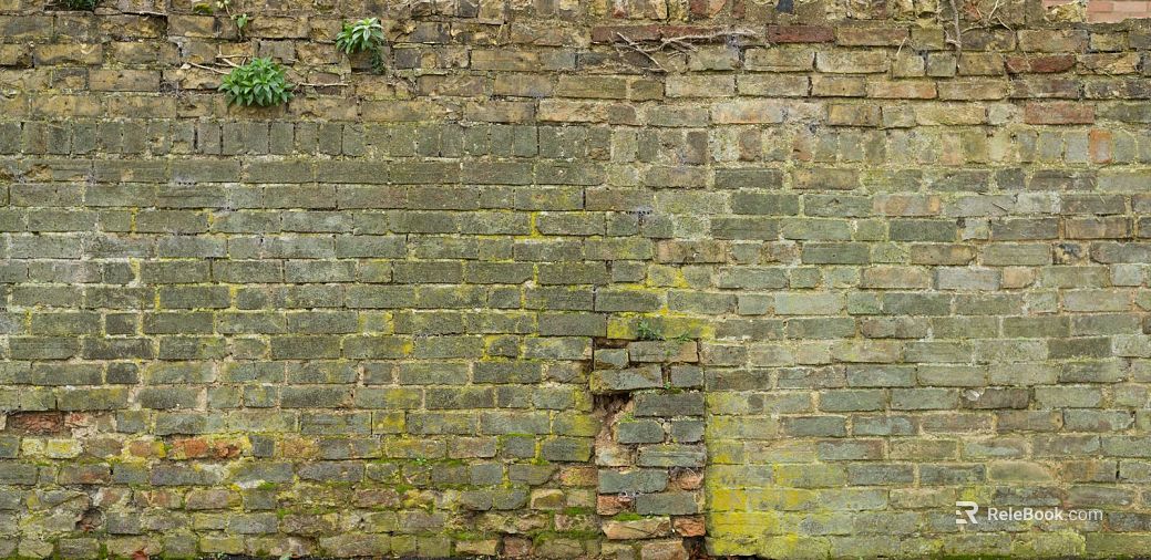 Green Planting on Cultural Stone Wall texture