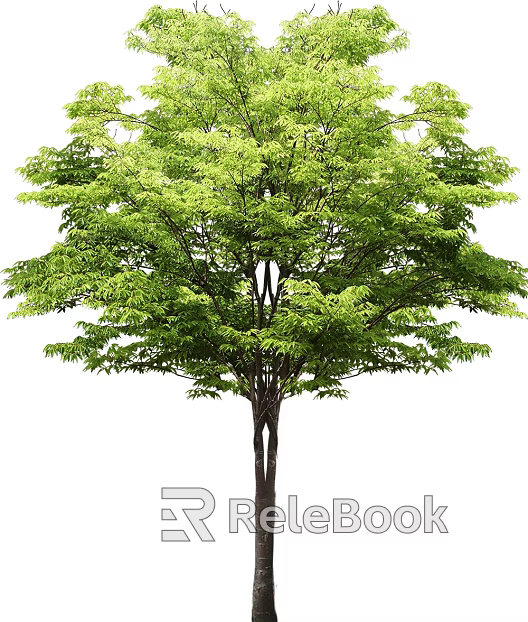 Tree texture