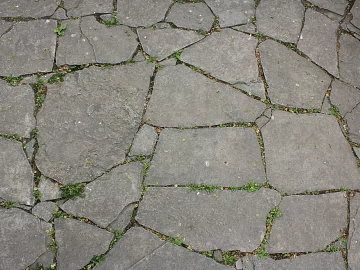 grass-planting brick texture (ID:ffabg05738)