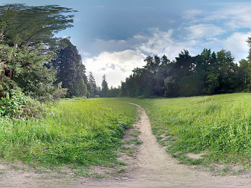 HDRI Field texture (ID:ffach332971)