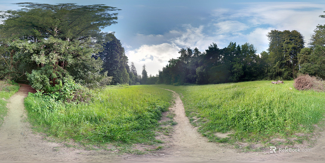 Outdoor Country Forest Meadow Sunny Day HDR texture
