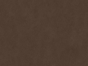 fine grain leather texture (ID:ffaaf9797)