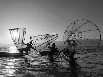 black and white painting texture (ID:ffabg92875)