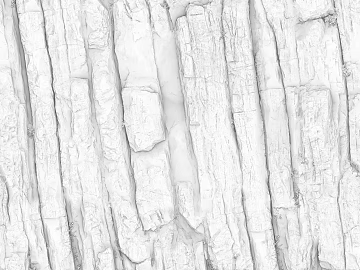 Black and White Bump texture (ID:ffacg08204)