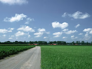 Wild Scenery texture (ID:ffacg09878)