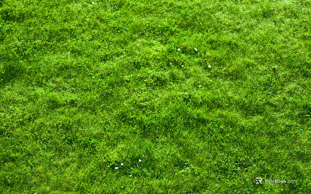 Turf texture