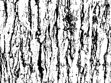 Black and White Bump texture (ID:ffajg51403)