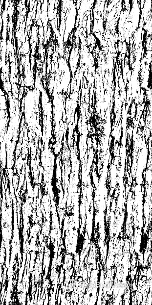 Black and White Bump texture