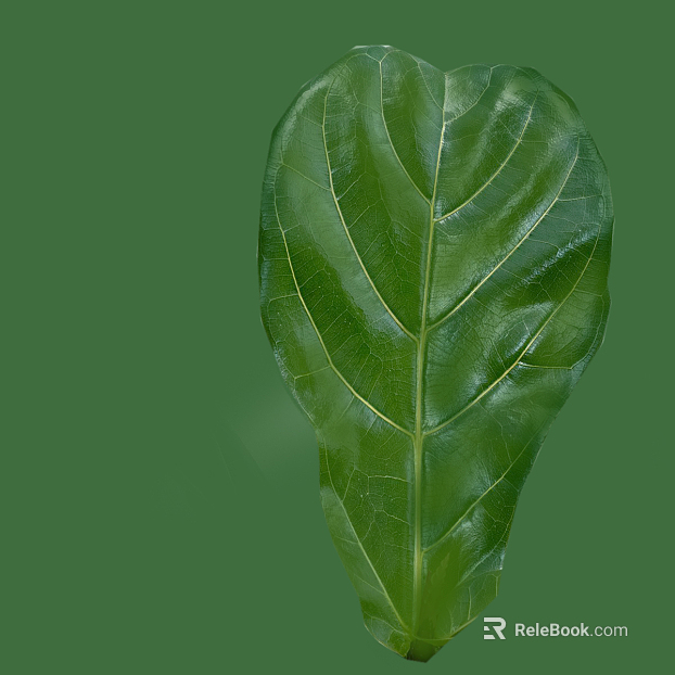 leaves texture