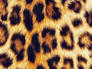 Animal Blanket texture (ID:ffajg85362)