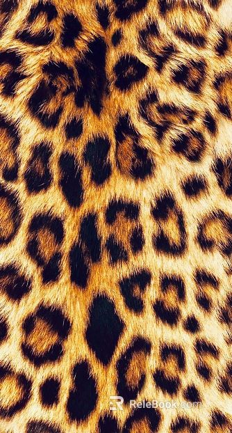 Animal Blanket texture