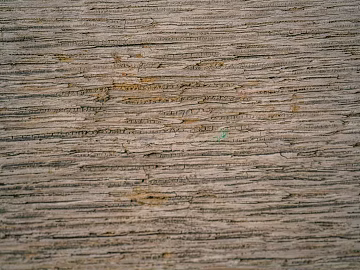 old wood texture (ID:ffagg04550)