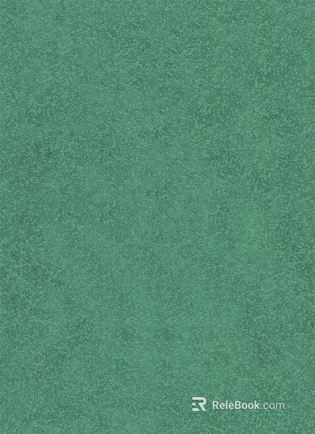 Paint texture