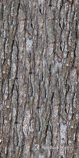 bark texture