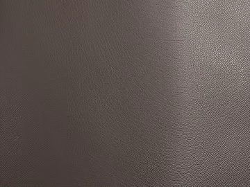 fine grain leather 3d model