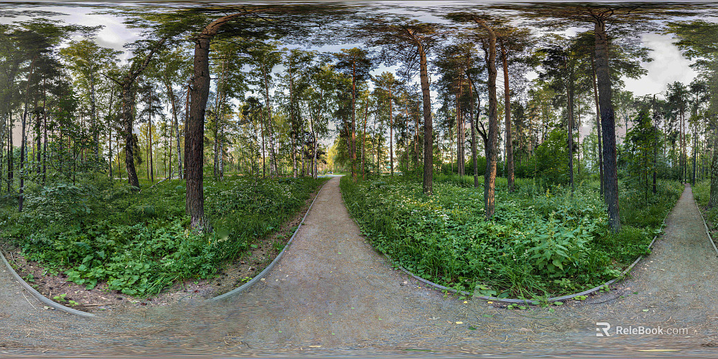 HDR Wild Grove texture