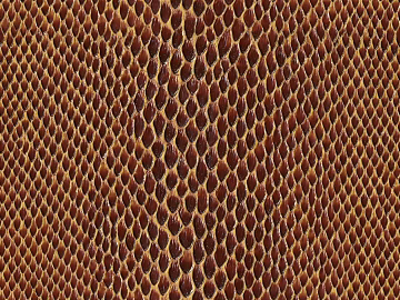 animal skin texture (ID:ffacg02987)