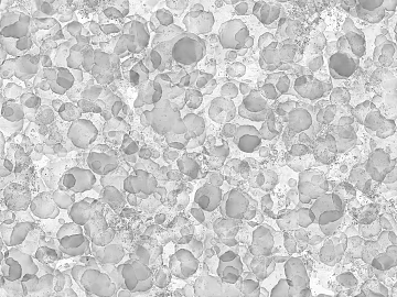 Light gray terrazzo wall ground stone texture (ID:ffaeh420832)