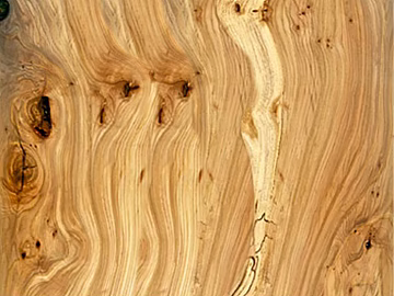 Wood grain texture (ID:ffacg22574)