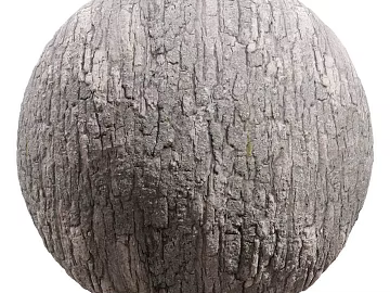Bark PBR texture (ID:ffach120464)