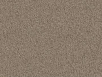 fine grain leather texture (ID:ffacg06729)
