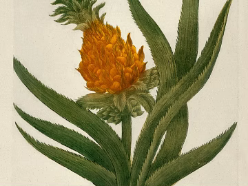 Plant painting texture (ID:ffacg26617)