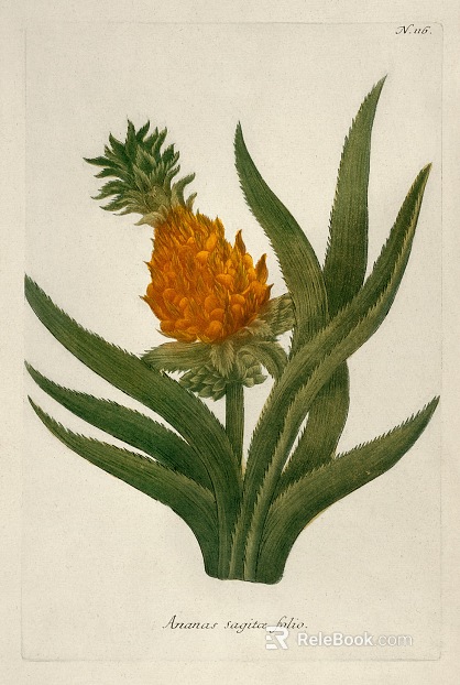 Plant painting texture