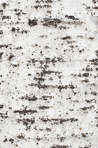 Black and White Bump texture