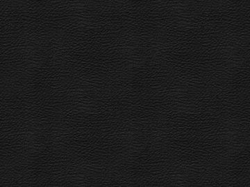 Coarse-grain leather 3d model
