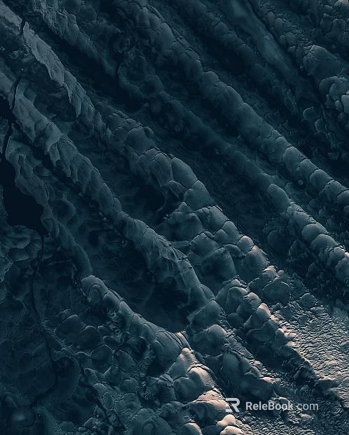 carbon-fired wood carbon black wood texture