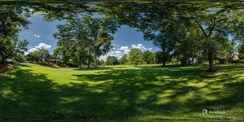 Blue Sky White Clouds Lawn Forest Landscape HDR texture