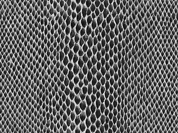 Black and White Snake Leather Soft Fabric texture (ID:ffaeh839096)