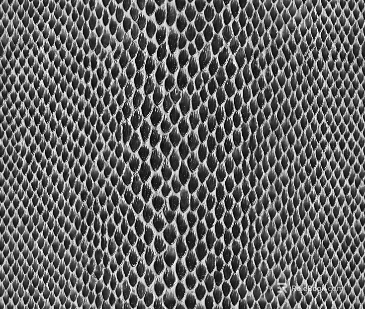 Black and White Snake Leather Soft Fabric texture