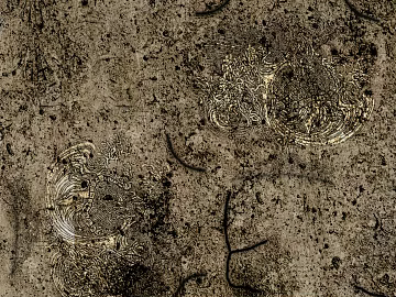 bark texture (ID:ffaeg62964)