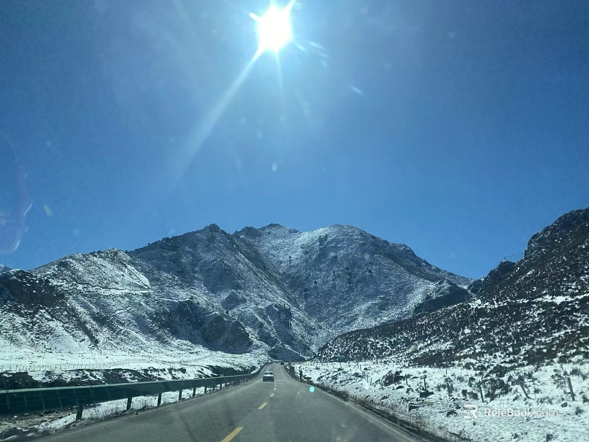 Wild Scenery texture