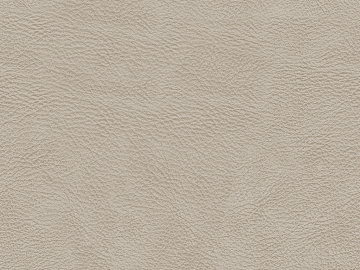 Coarse-grain leather texture (ID:ffabg34426)