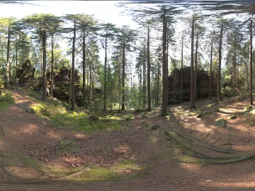 Outdoor Forest Shade Daytime HDR texture (ID:ffabg23941)