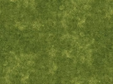 Turf texture (ID:ffadg81819)